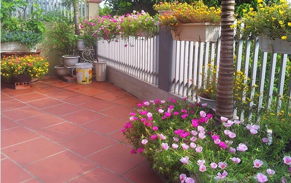 bon-hoa-truoc-nha-dep-1