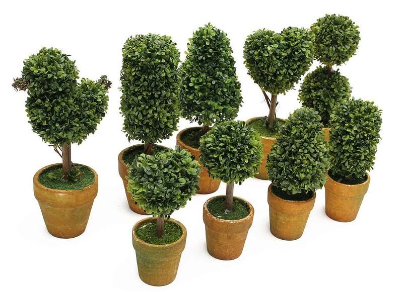 cay-hoang-duong-nhan-tao