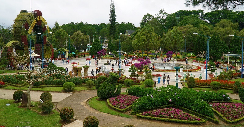 cay-trong-vien-bon-hoa-dep-1