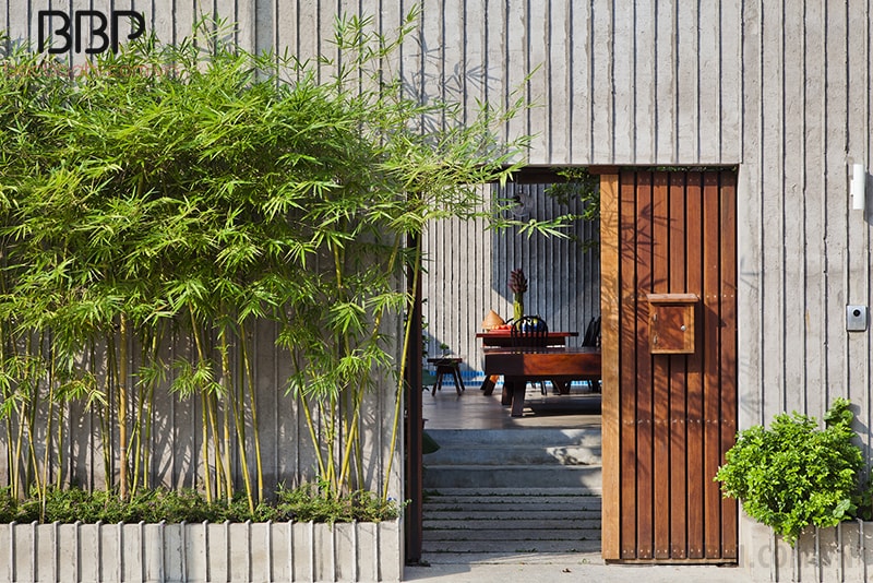 co-nen-trong-cay-truc-o-truoc-nha-khong1