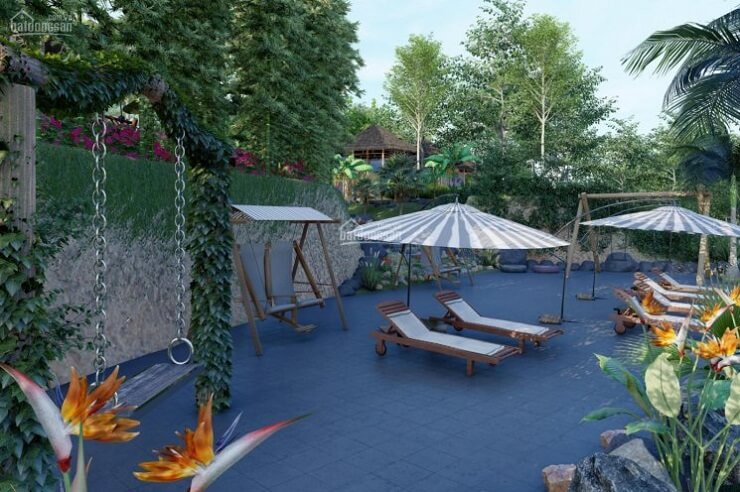 hoa-thien-dieu-trong-resort hoa thiên điểu trồng trong resort