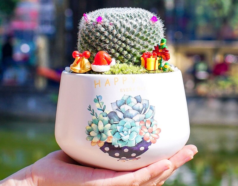 xuong-rong-banh-sinh-nhat-1