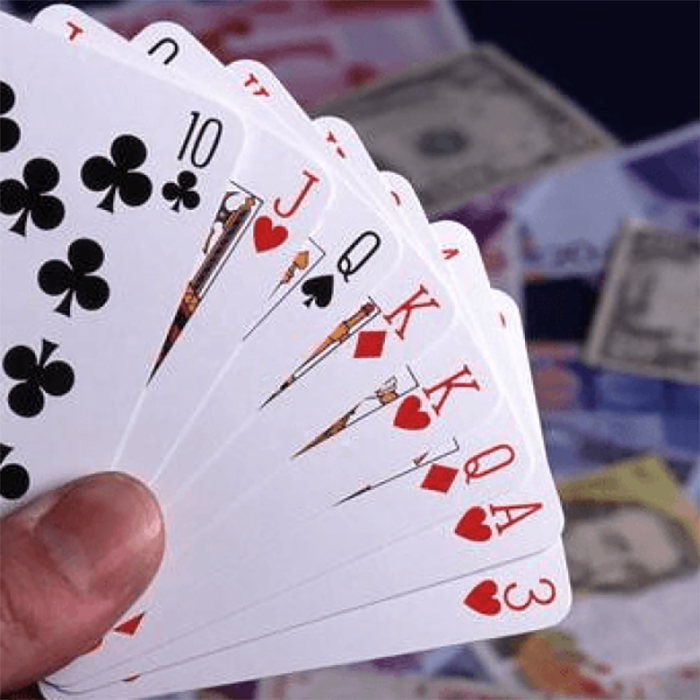 Những quy tắc chặt thịt lợn nào là đúng trong bài “Gia đình miền Nam”?