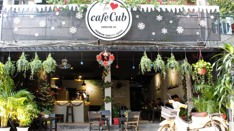 CafeCub