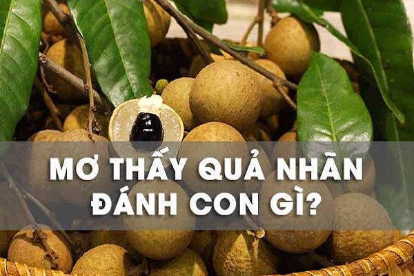 Nằm Mơ Thấy Quả Nhãn Có Điềm Gì? Đánh Số Gì?